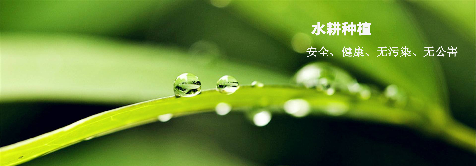 &#26131;&#28216;&#32593;&#39029;&#29256;&#45;&#26131;&#28216;&#40;&#20013;&#22269;&#41;